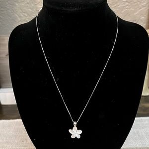 Silver Tone Necklace